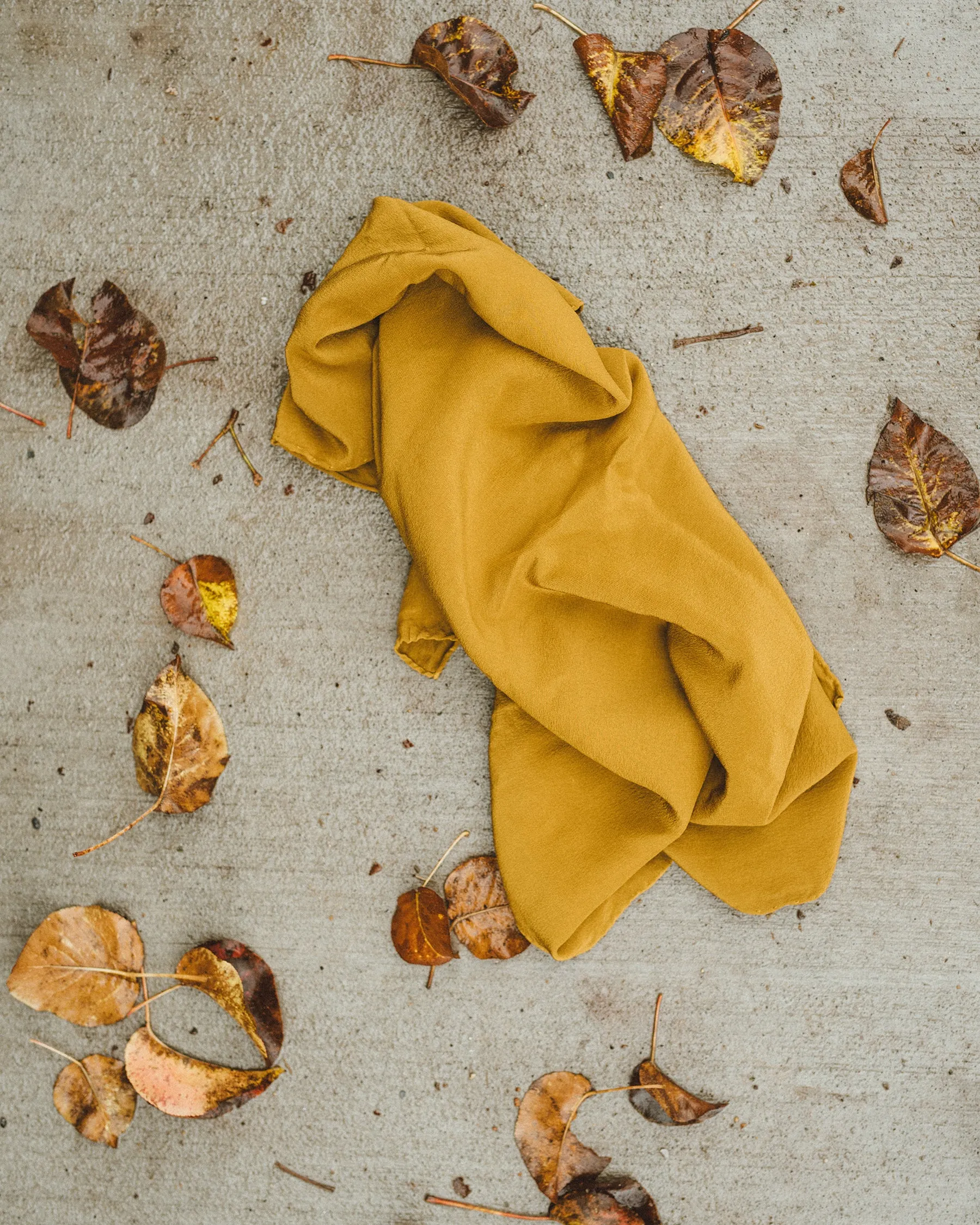 'The Scout' Washable Silk Scarf in Oro