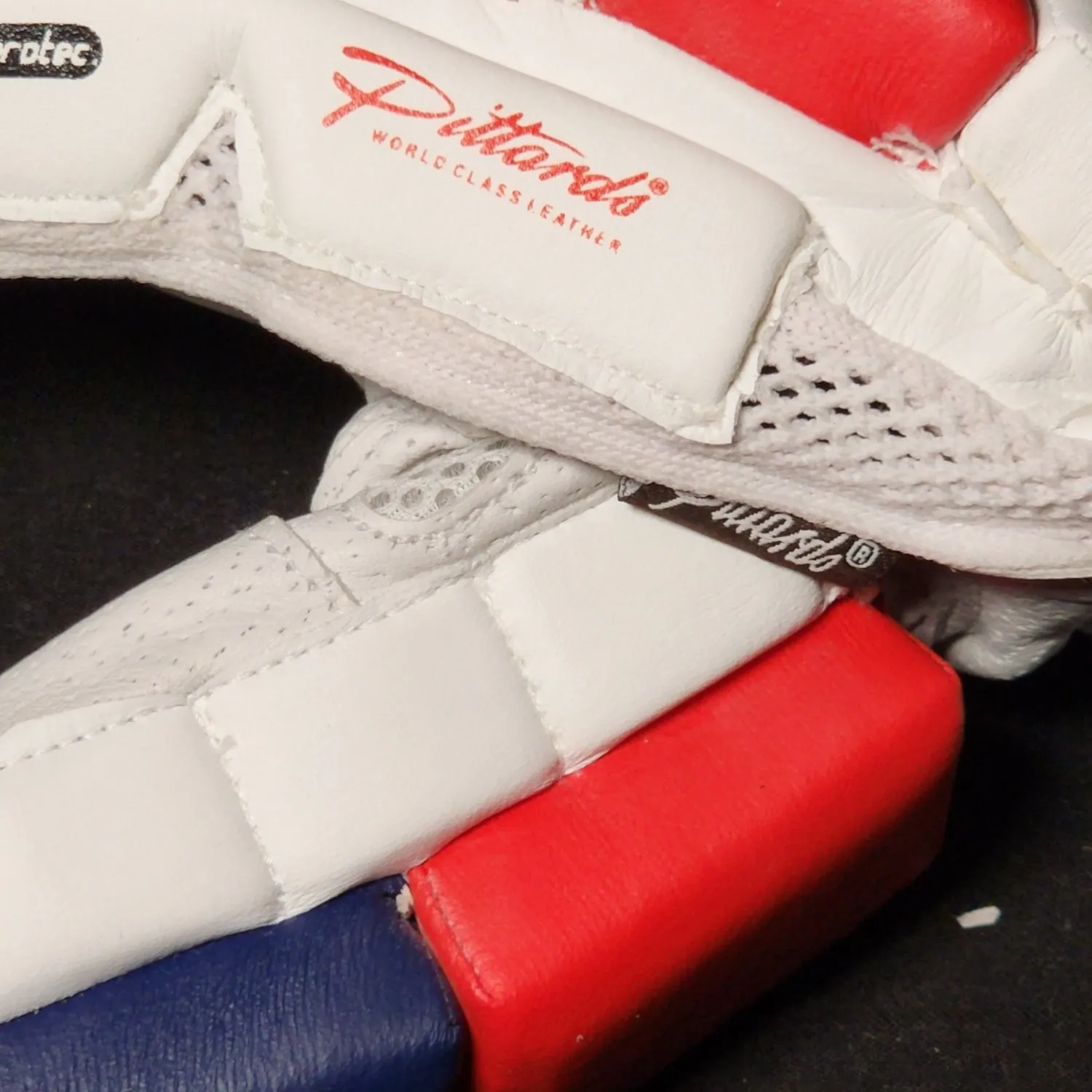 Zee Sports Batting Gloves Stallion